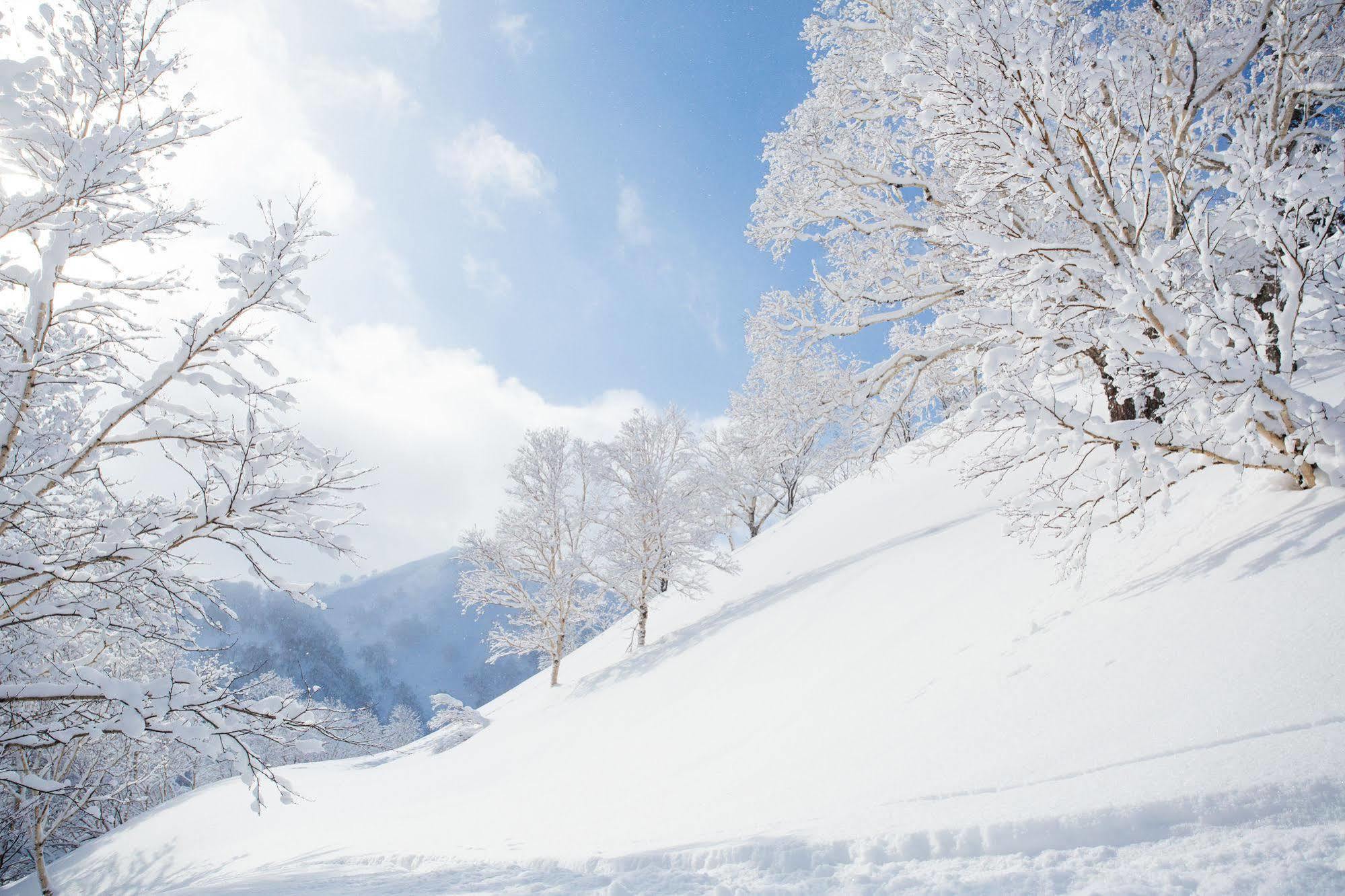 شقة Loft Niseko كوتشان المظهر الخارجي الصورة
